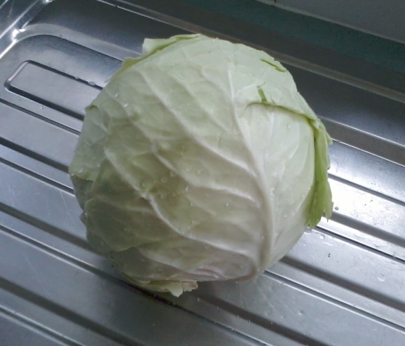 cabbage patch_2