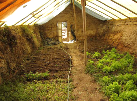 Underground greenhouse