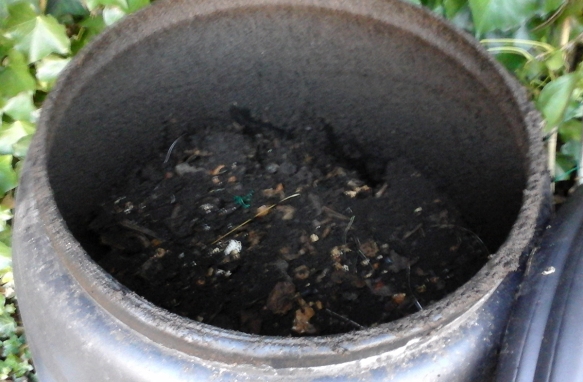 compost-and-elastic-bands